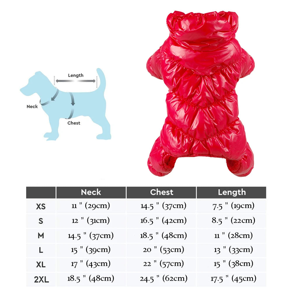 Warm Winter Dog Coat – Waterproof Jacket for Small & Medium Breeds