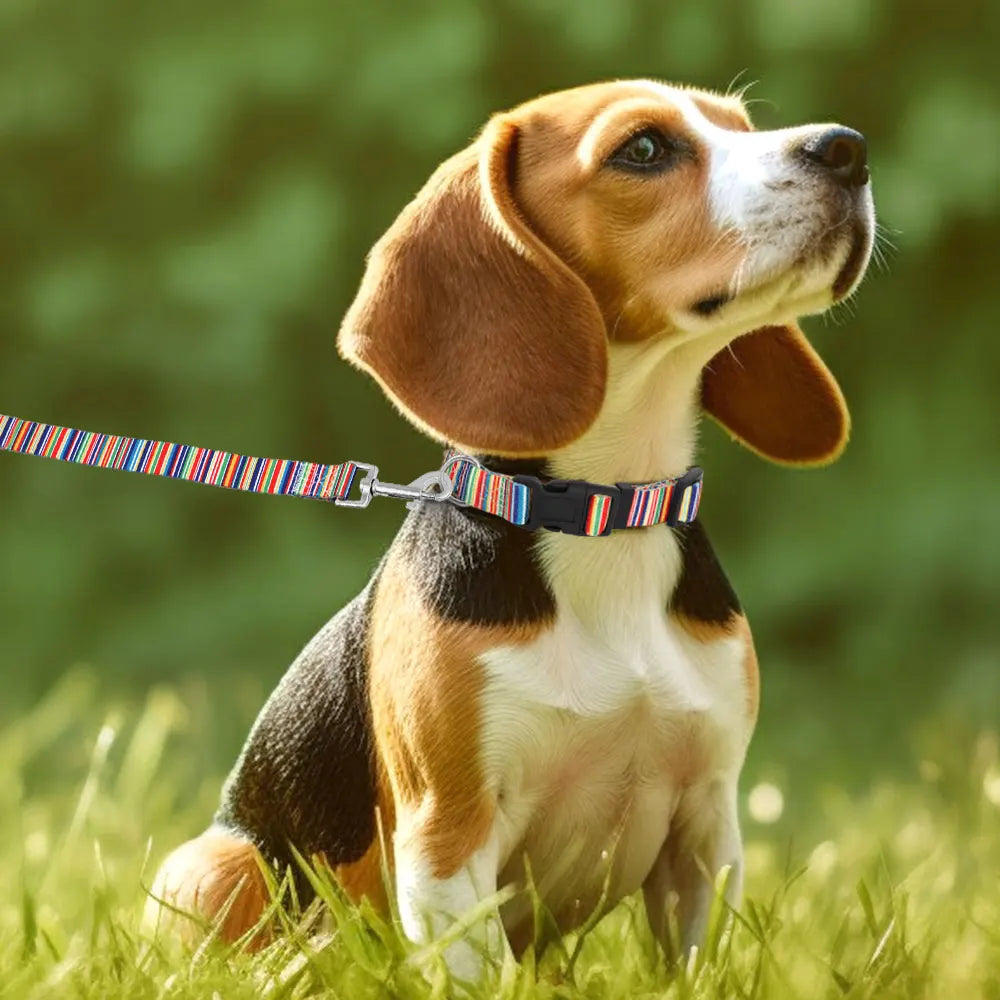Cute Puppy Dog Collar & Leash Set – Adjustable Printed Nylon Collar with Matching Lead for Small Dogs & Cats (Flower/Bone/Striped Prints)