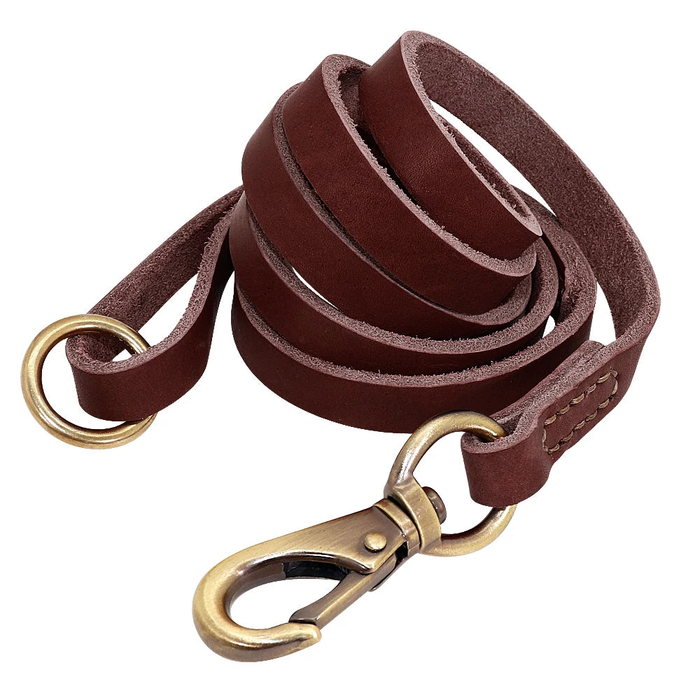 🦴 Custom Leather Dog Collar & Leash Set — Personalized for Safety & Style 🐾