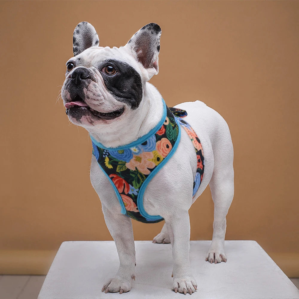 Cute Printed Dog Harness – Adjustable Nylon Vest for Small & Medium Dogs & Cats (Chihuahua, French Bulldog, Yorkie, Pug, Puppy Training Harness)