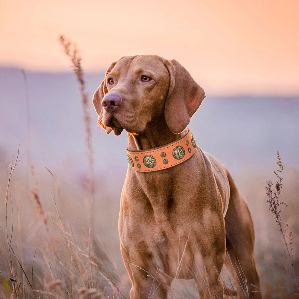 Genuine Leather Dog Collar – Vintage Studded Design, Adjustable for Medium & Large Dogs (Bulldog, Husky, Labrador)