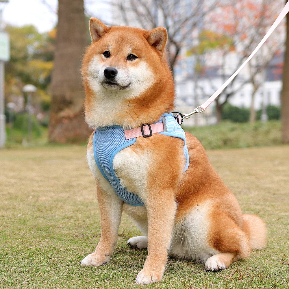 Reflective Dog Harness And Leash Set Adjustable Pet Puppy Harness Vest For Small Medium Dogs Walking Dog Accessories 150cm Leash